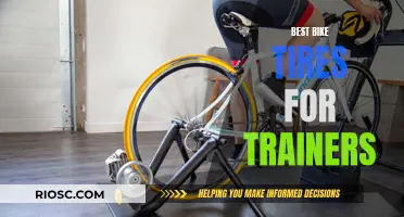 Revolutionize Your Indoor Cycling: The Ultimate Guide to the Best Bike Tires for Trainers