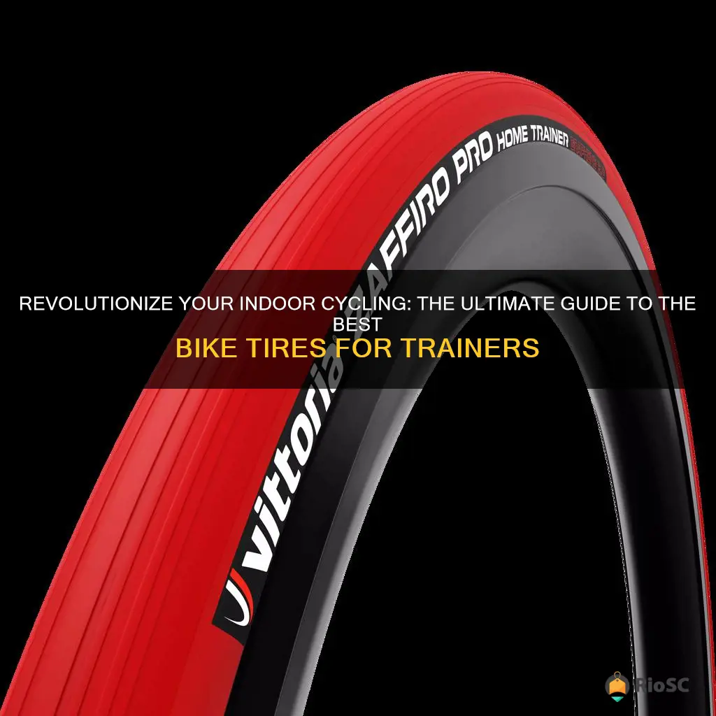 best bike tires for trainers