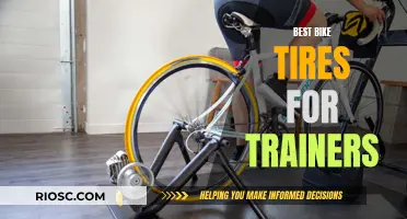 Top-Tier Tires: Selecting the Best Bike Rubber for Indoor Training