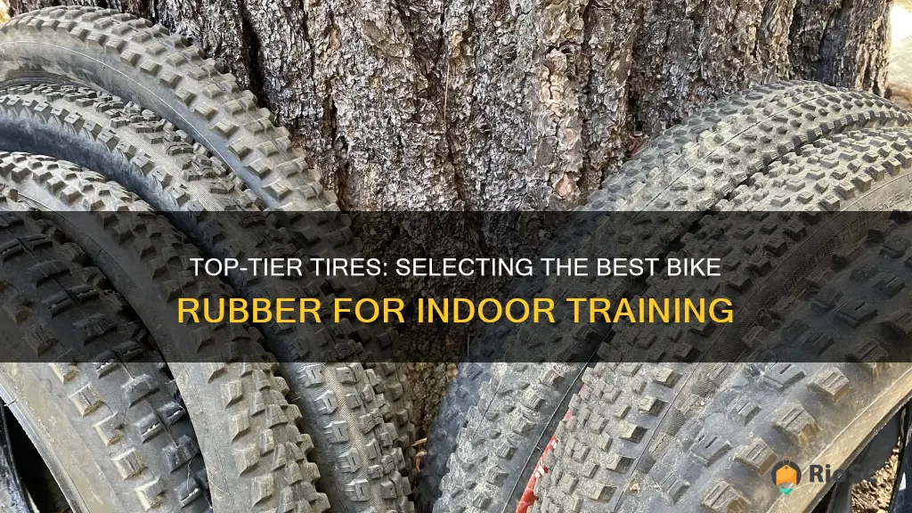 best bike tires for trainers