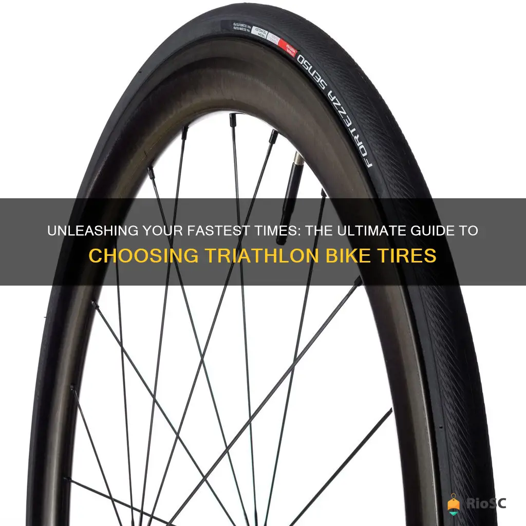 best bike tires for triathlon