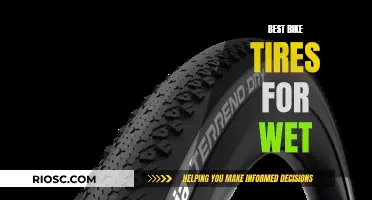 Mastering Wet Roads: Top-Rated Bike Tires for Optimal Grip and Control