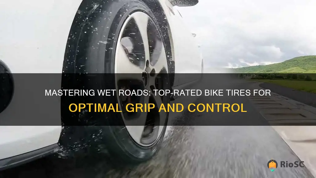 best bike tires for wet