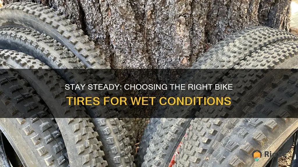 best bike tires for wet