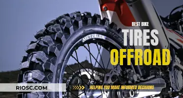 Off-Road Adventures: Choosing the Best Bike Tires for Rugged Terrain