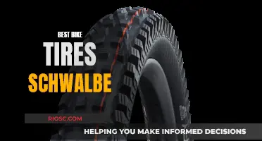 Schwalbe's Ultimate Guide to the Best Bike Tires: Unlocking Performance and Comfort