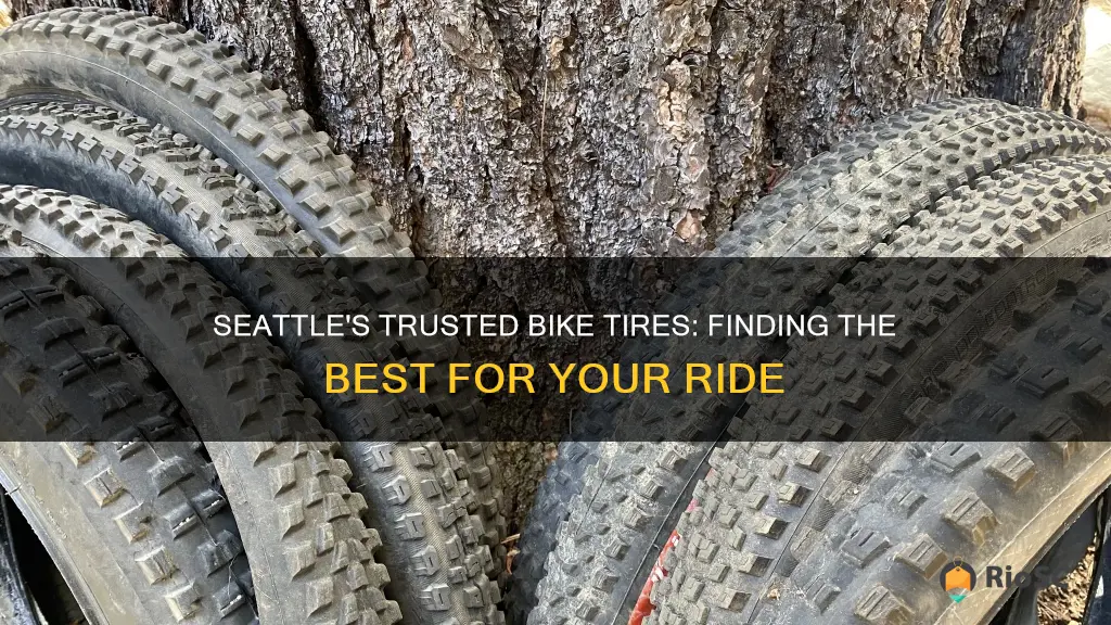 best bike tires seattle wa