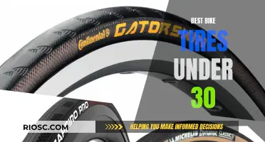 Top Affordable Bike Tires: Under $30 Recommendations