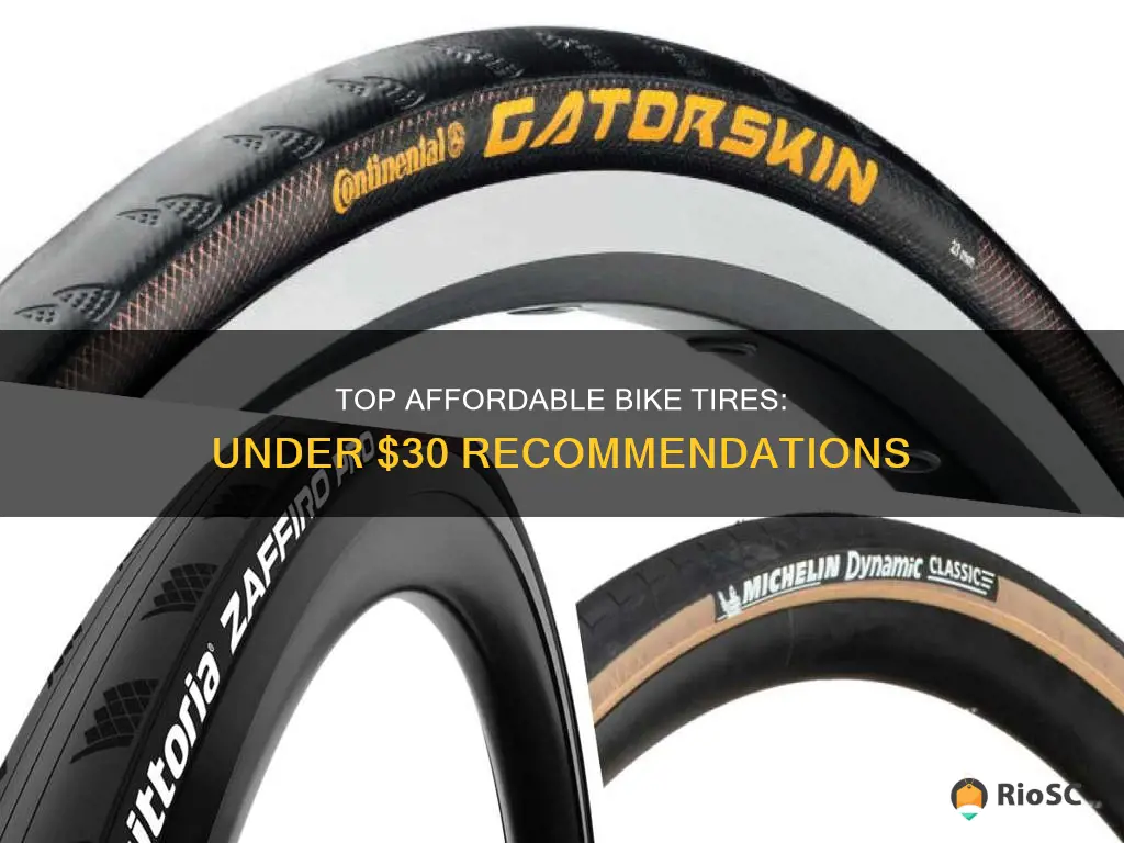 best bike tires under 30