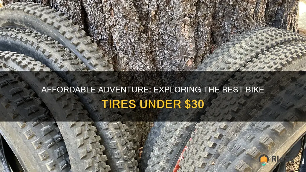 best bike tires under 30