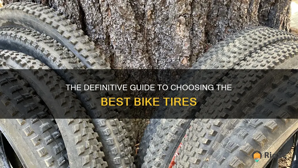 best bike tires