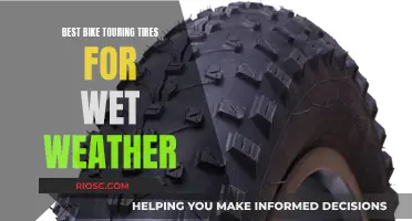 The Ultimate Guide to Wet Weather Bike Touring: Top Tire Choices for a Smooth Ride