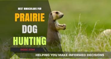 Top Binoculars for Prairie Dog Hunting: Enhance Your Accuracy and Spotting Range