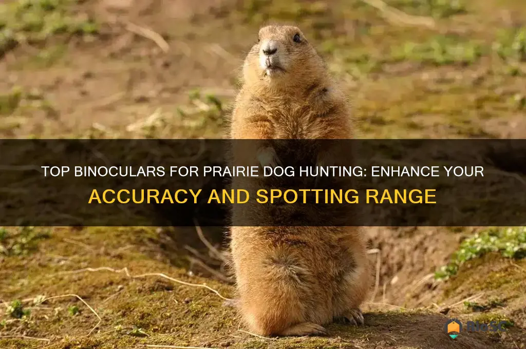 best binoculars for prairie dog hunting