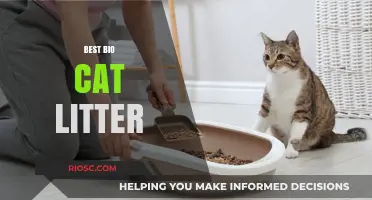 Eco-Friendly and Odor-Free: Discover the Best Bio Cat Litter for Your Feline Friend
