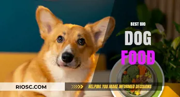 Top Picks for Your Furry Friend: The Best Bio Dog Food Options