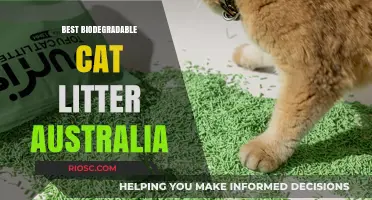 Eco-Friendly Pet Care: Top Biodegradable Cat Litter Options in Australia