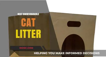Eco-Friendly Feline Care: Top Biodegradable Cat Litter Options for a Greener Home