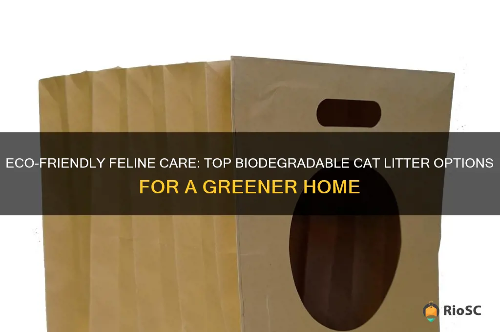 best biodegradable cat litter