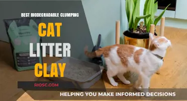 Eco-Friendly Feline Care: Top Biodegradable Clumping Clay Cat Litter Options