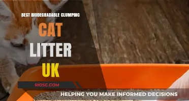 Eco-Friendly Feline Care: Top Biodegradable Clumping Cat Litter Options in the UK