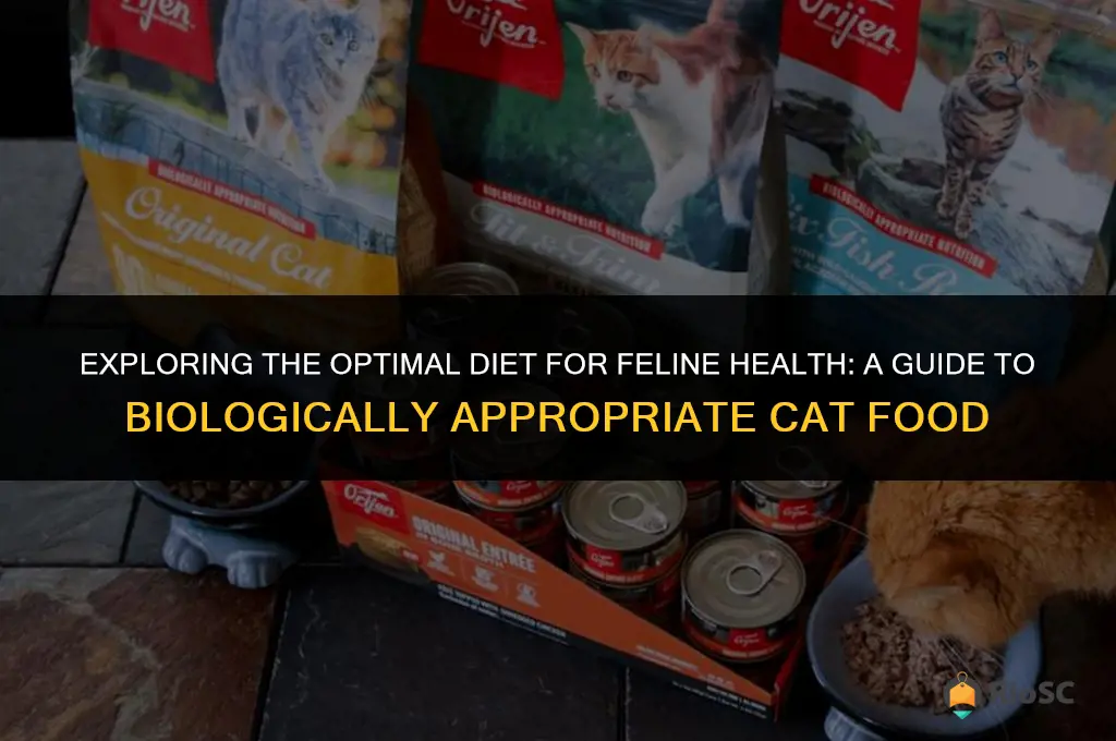 best biologically appropriate cat food