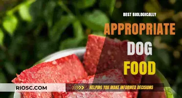 Nourishing Nature's Way: A Guide to Biologically Appropriate Dog Food