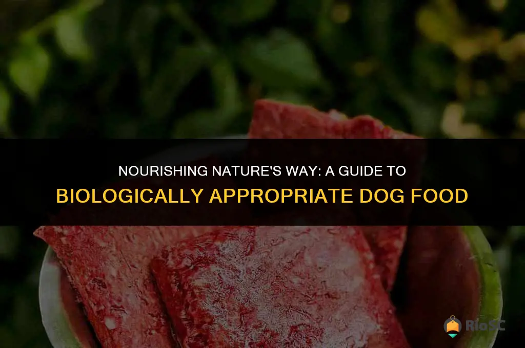 best biologically appropriate dog food