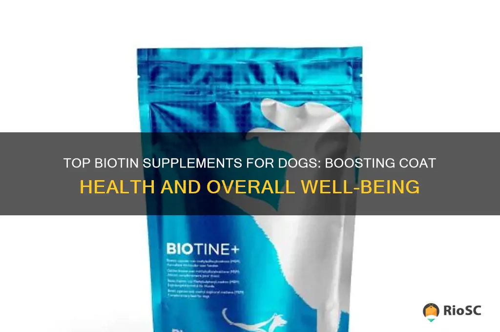 best biotin supplement dog