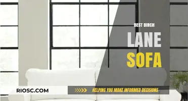 Top Birch Lane Sofa Picks: Comfort, Style, and Durability for Every Living Space