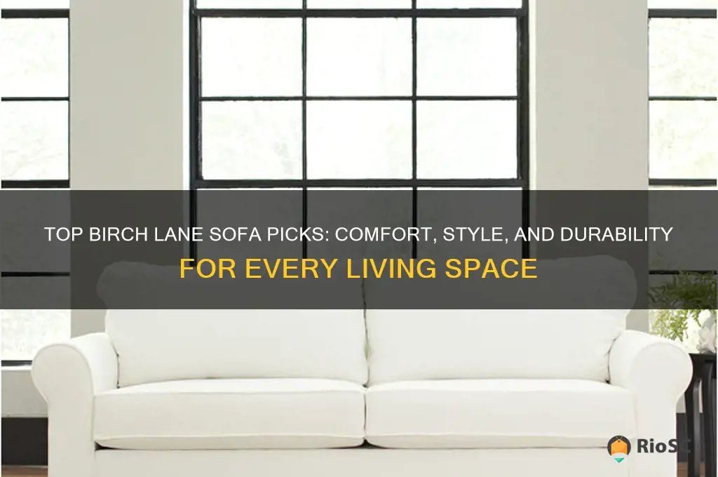best birch lane sofa