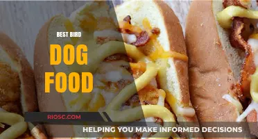 Top Picks for Your Feathered Friend: The Best Bird Dog Food Options