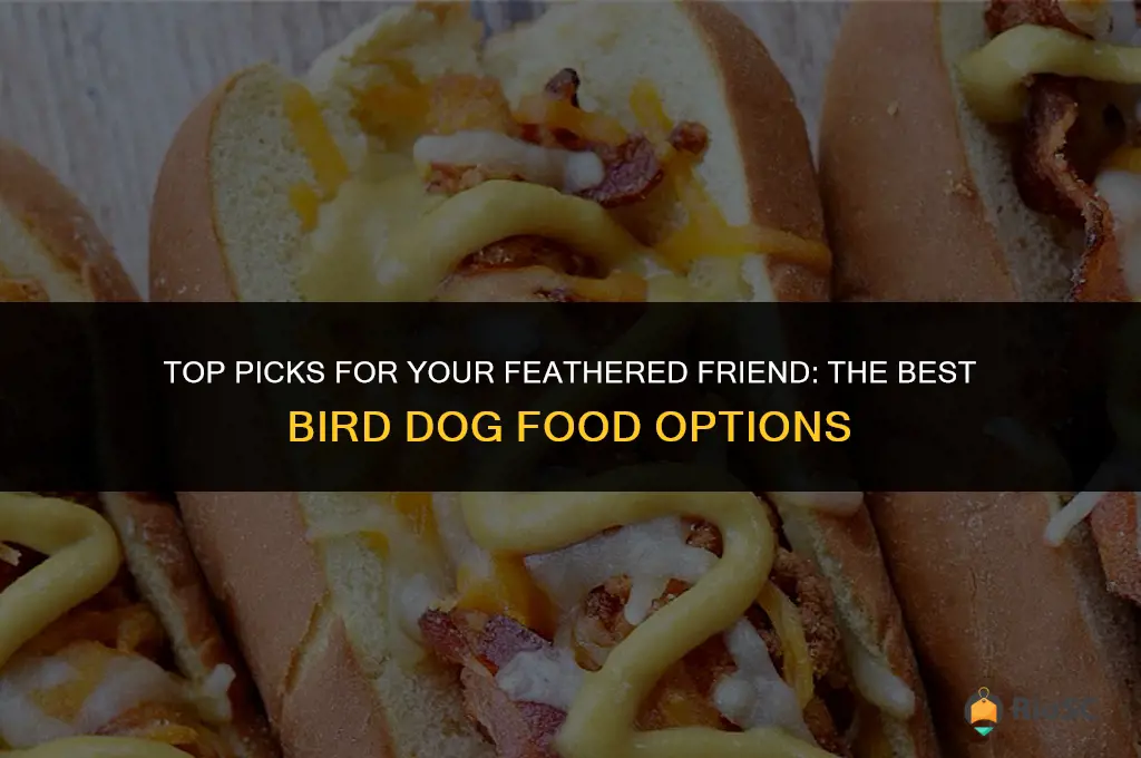 best bird dog food
