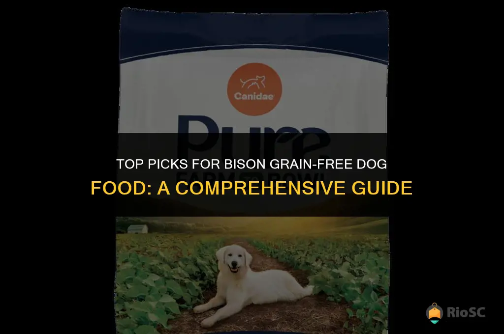 best bison grain free dog food