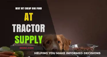 Affordable Canine Cuisine: Top Budget-Friendly Dog Food Picks at Tractor Supply