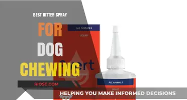 Effective Bitter Sprays to Stop Dog Chewing: Top Picks for Pet Owners
