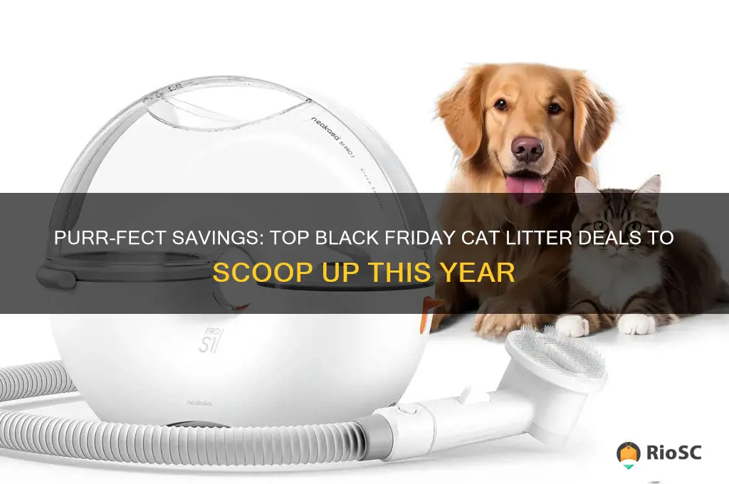 best black friday cat litter deal