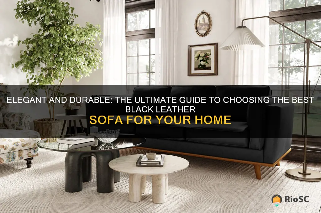 best black leather sofa