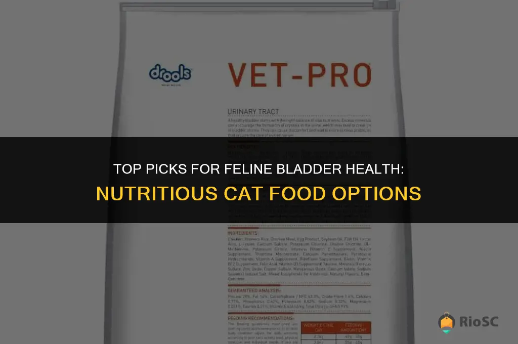 best bladder health cat food
