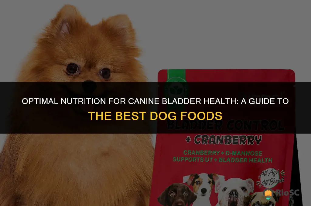 best bladder health dog food