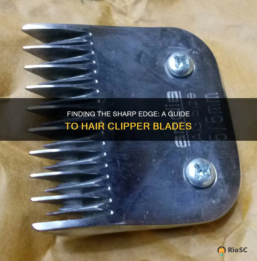 best blades for hair clippers