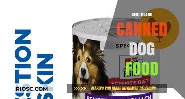 Top Picks for Bland Canned Dog Food: A Guide to Gentle Nutrition