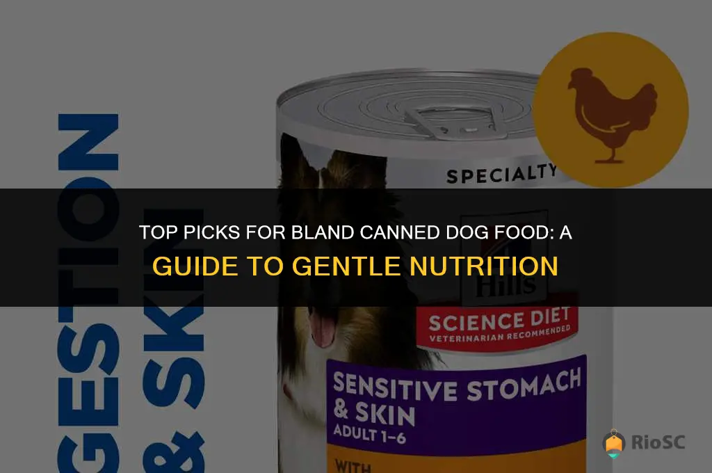 best bland canned dog food