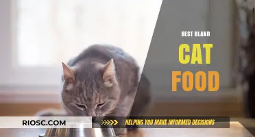 Top Picks for Bland Cat Food: Gentle on the Stomach, Easy on the Palate