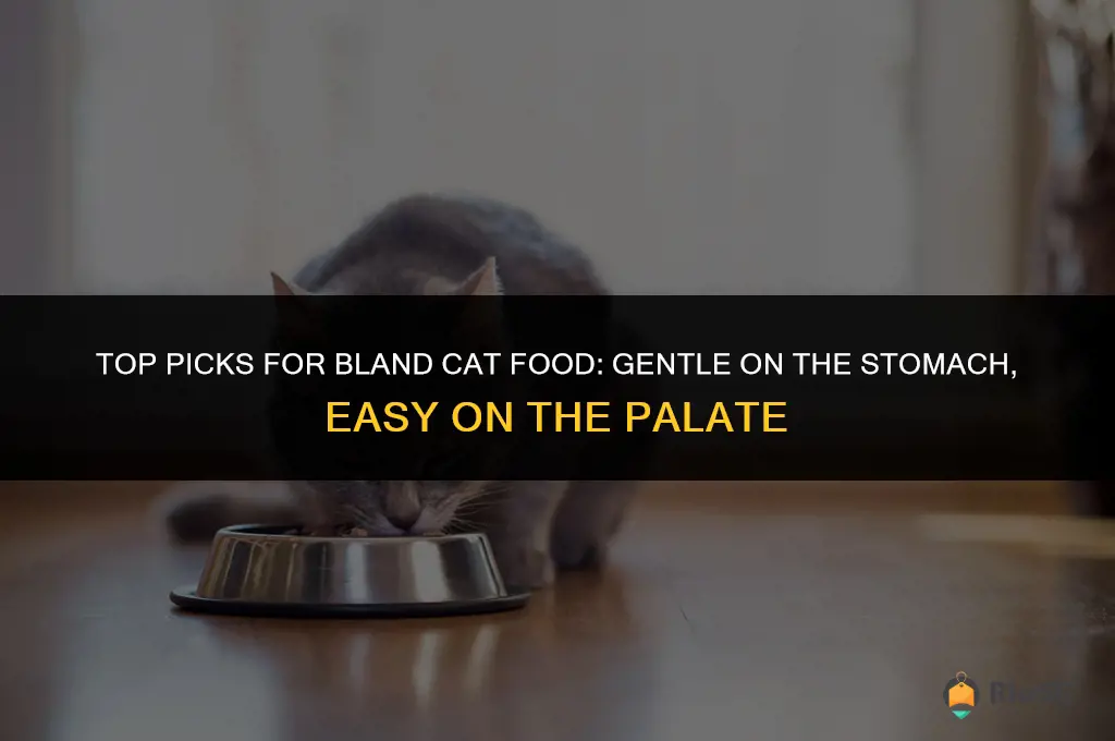 best bland cat food