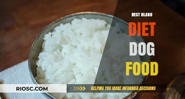 Exploring the Benefits of Bland Diet Dog Food: A Guide for Pet Owners