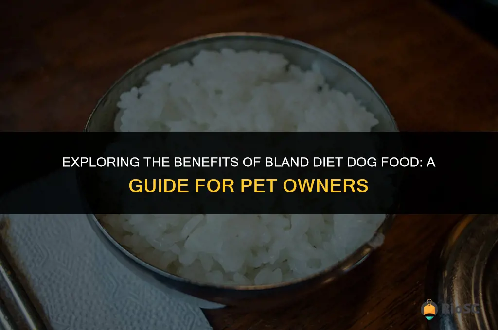 best bland diet dog food