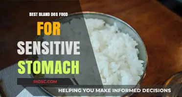 Gentle on the Tummy: Top Picks for Bland Dog Food to Soothe Sensitive Stomachs