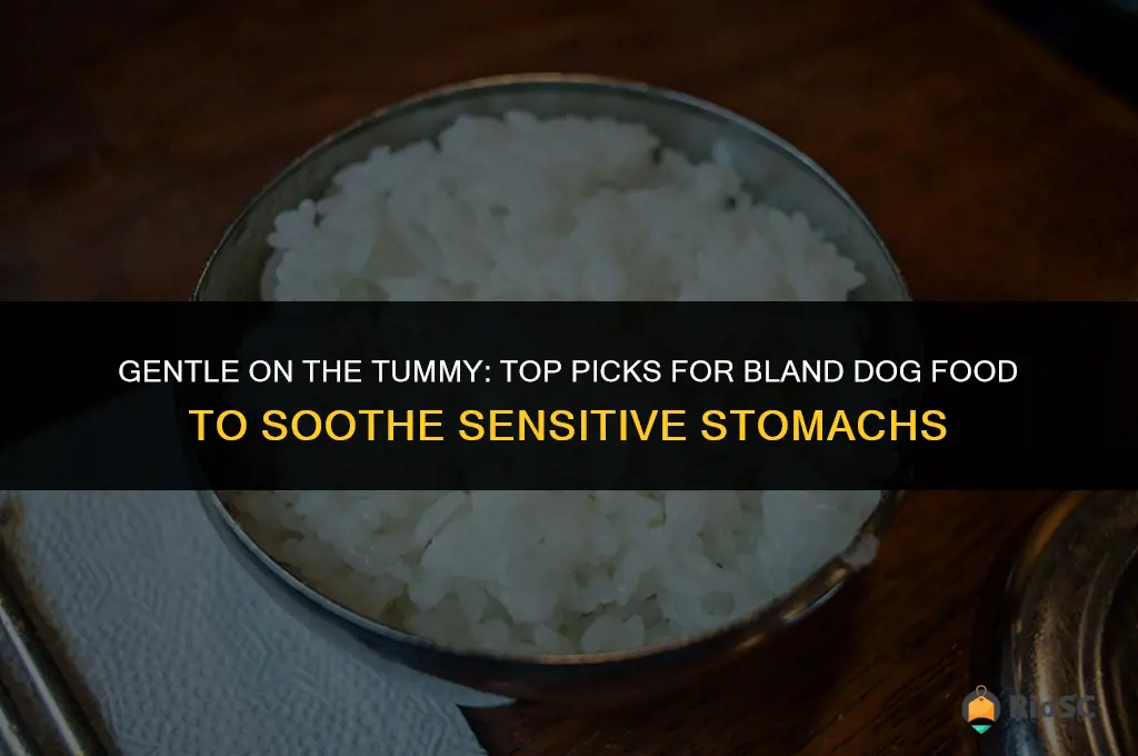 best bland dog food for sensitive stomach