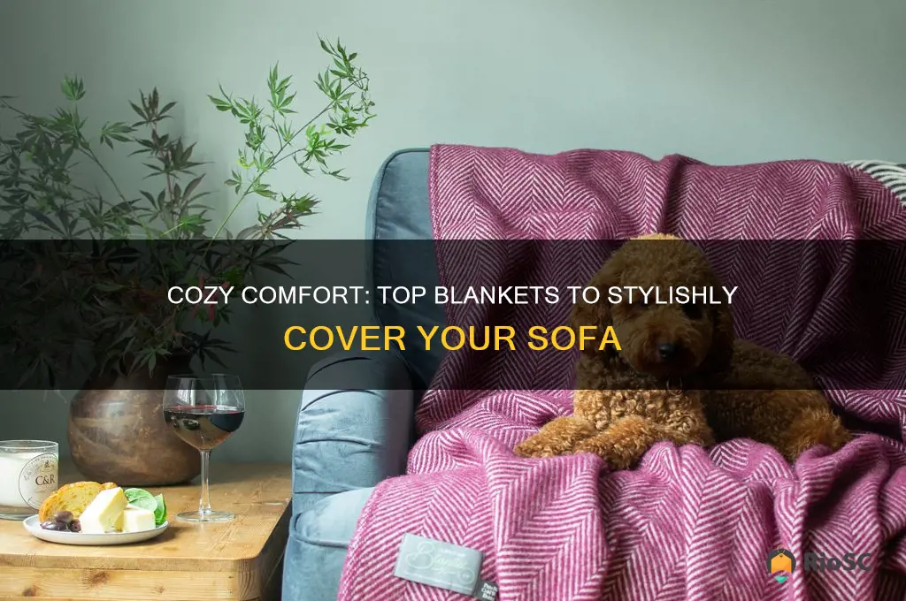 best blankets to cover sofa